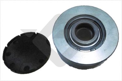 Alternator Freewheel Clutch HUTCHINSON DB0283