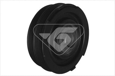 Belt Pulley, crankshaft HUTCHINSON DP001