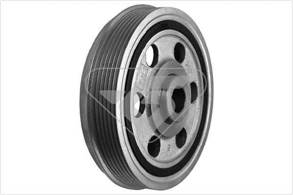 HUTCHINSON DP014 Belt Pulley, crankshaft