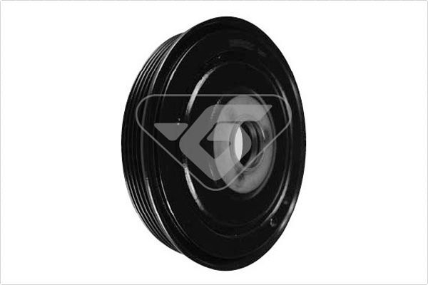 HUTCHINSON DP018 Belt Pulley, crankshaft