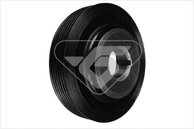 Belt Pulley, crankshaft HUTCHINSON DP020