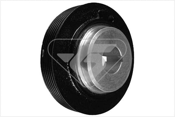 HUTCHINSON DP021 Belt Pulley, crankshaft