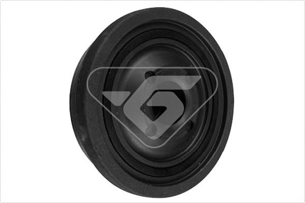 HUTCHINSON DP030 Belt Pulley, crankshaft