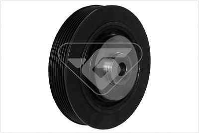 Belt Pulley, crankshaft HUTCHINSON DP038