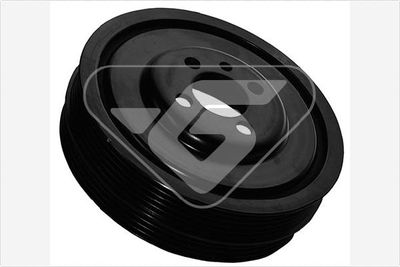 Belt Pulley, crankshaft HUTCHINSON DP066