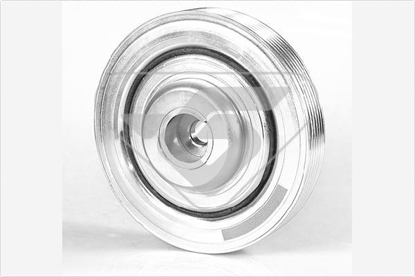 HUTCHINSON DP074 Belt Pulley, crankshaft