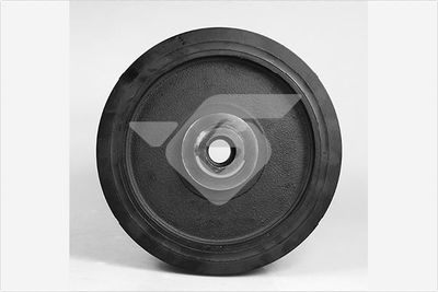 Belt Pulley, crankshaft HUTCHINSON DP108