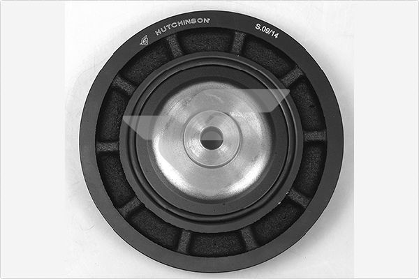 HUTCHINSON DP114 Belt Pulley, crankshaft