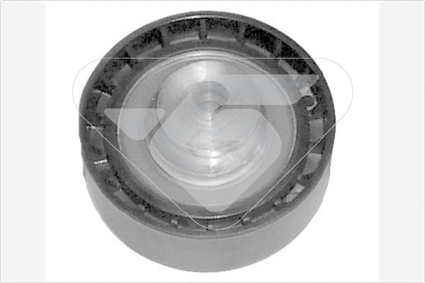 HUTCHINSON HTG 124 Tensioner Pulley, timing belt