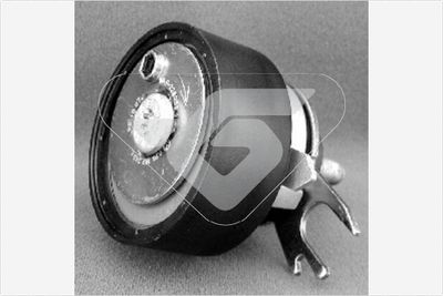 Tensioner Pulley, timing belt HUTCHINSON HTG 160