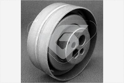 Tensioner Pulley, timing belt HUTCHINSON HTG 169