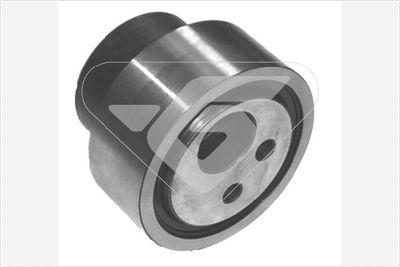 Tensioner Pulley, timing belt HUTCHINSON HTG 202