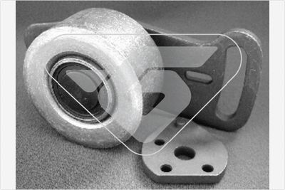 Tensioner Pulley, timing belt HUTCHINSON HTG 21