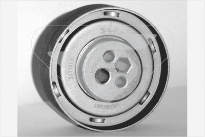 Tensioner Pulley, timing belt HUTCHINSON HTG 250