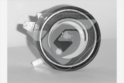 Tensioner Pulley, timing belt HUTCHINSON HTG 263