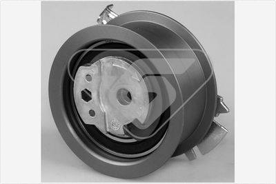 Tensioner Pulley, timing belt HUTCHINSON HTG 355