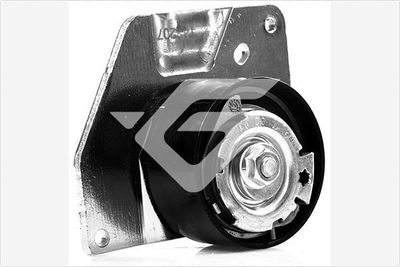 Tensioner Pulley, timing belt HUTCHINSON HTG 420