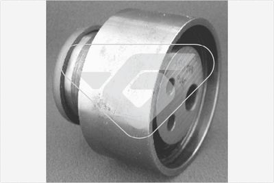 Tensioner Pulley, timing belt HUTCHINSON HTG 53
