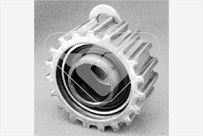 Tensioner Pulley, timing belt HUTCHINSON HTG 66
