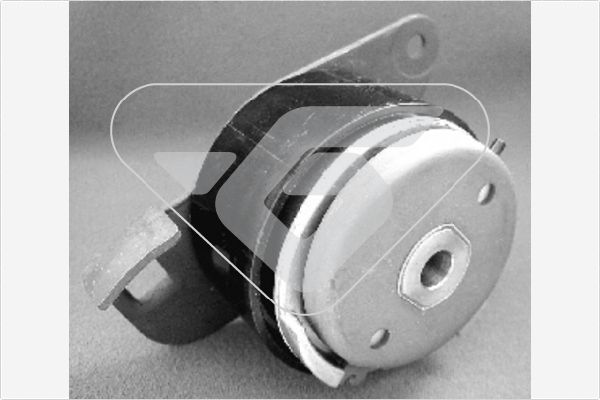 HUTCHINSON HTG 76 Tensioner Pulley, timing belt