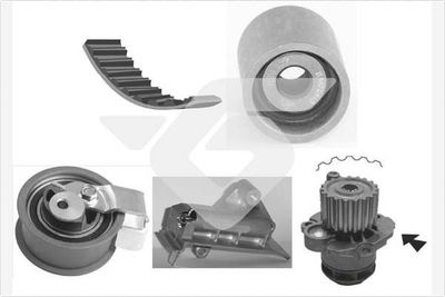 Water Pump & Timing Belt Kit HUTCHINSON KH 263WP71
