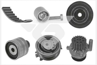 Water Pump & Timing Belt Kit HUTCHINSON KH 462WP68