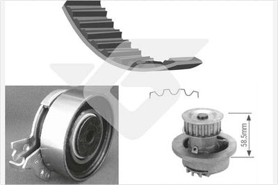 Water Pump & Timing Belt Kit HUTCHINSON KH 60WP02