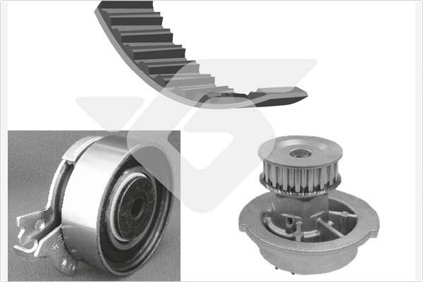 HUTCHINSON KH 60WP41 Water Pump & Timing Belt Kit