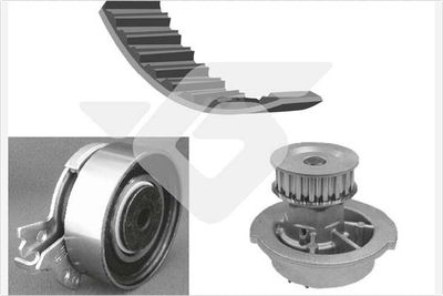 Water Pump & Timing Belt Kit HUTCHINSON KH 60WP41