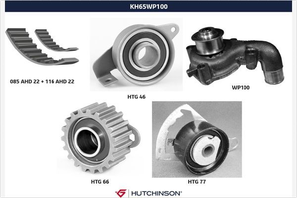 HUTCHINSON KH 65WP100 Water Pump & Timing Belt Kit
