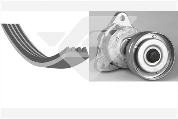 HUTCHINSON KHV 220 V-Ribbed Belt Set