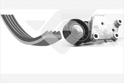 V-Ribbed Belt Set HUTCHINSON KHV 167
