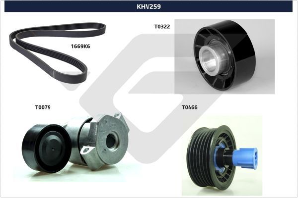 HUTCHINSON KHV 259 V-Ribbed Belt Set