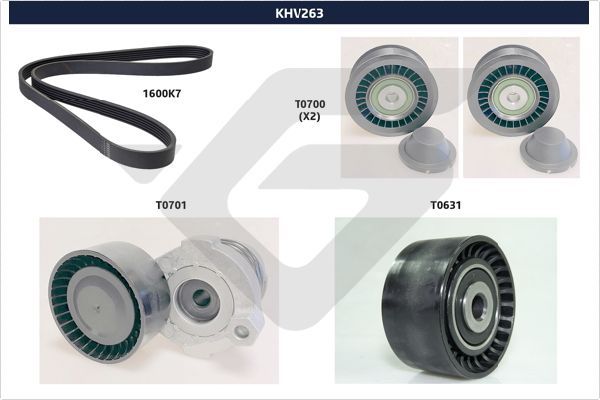 HUTCHINSON KHV 263 V-Ribbed Belt Set