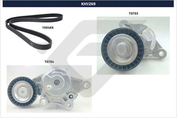 HUTCHINSON KHV 269 V-Ribbed Belt Set
