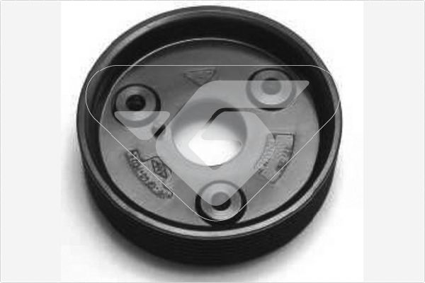 HUTCHINSON P2008 Belt Pulley, alternator