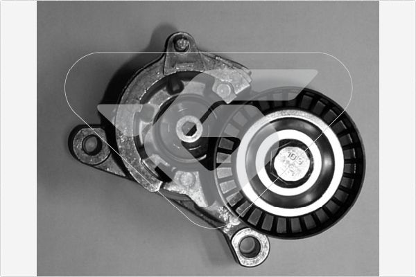 HUTCHINSON T0018 Tensioner Pulley, V-ribbed belt
