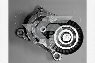 Tensioner Pulley, V-ribbed belt HUTCHINSON T0018