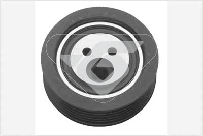 Tensioner Pulley, V-ribbed belt HUTCHINSON T0030