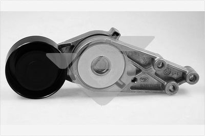 Tensioner Pulley, V-ribbed belt HUTCHINSON T0039