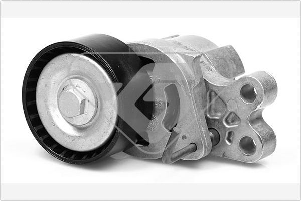 HUTCHINSON T0071 Tensioner Pulley, V-ribbed belt