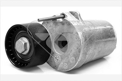 Tensioner Pulley, V-ribbed belt HUTCHINSON T0073