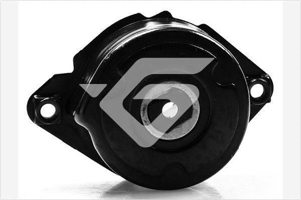 HUTCHINSON T0078 Tensioner Pulley, V-ribbed belt