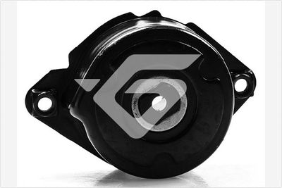 Tensioner Pulley, V-ribbed belt HUTCHINSON T0078
