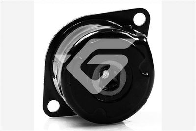 Tensioner Pulley, V-ribbed belt HUTCHINSON T0085