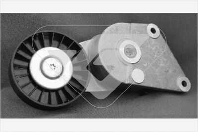 Tensioner Pulley, V-ribbed belt HUTCHINSON T0201