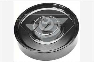 Deflection/Guide Pulley, V-ribbed belt HUTCHINSON T0229