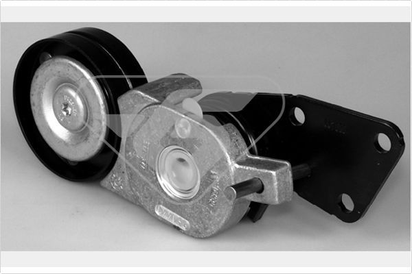 HUTCHINSON T0261 Tensioner Pulley, V-ribbed belt