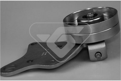 Tensioner Pulley, V-ribbed belt HUTCHINSON T0290