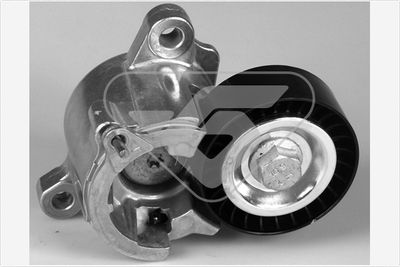 Tensioner Pulley, V-ribbed belt HUTCHINSON T0296